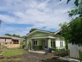 1 rumah induk 1 paviliun dan 1 rumah buat usaha