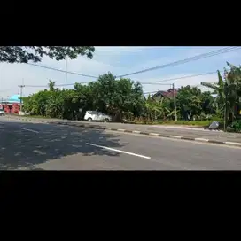 Tanah darat strategis Pantura Pangkalan Losarang Indramayu