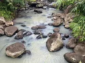 jual kebun durian los sungai murah di tabanan bali.