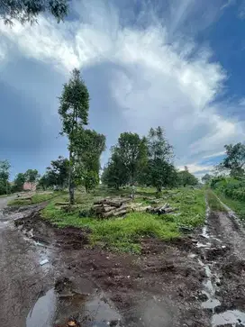 Jual Tanah Perkebunan 11.82 Hektar