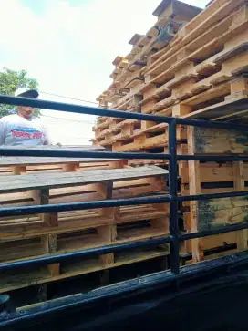 Palet kayu lokal dan jati belanda