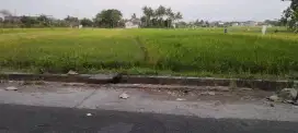 Dijual sawah luas 3.734 m2