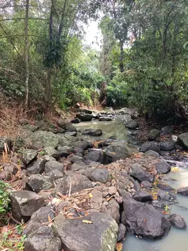 Tanah View Sungai dan Jungle dekat Pantai Pasut dan Kelecung Bali