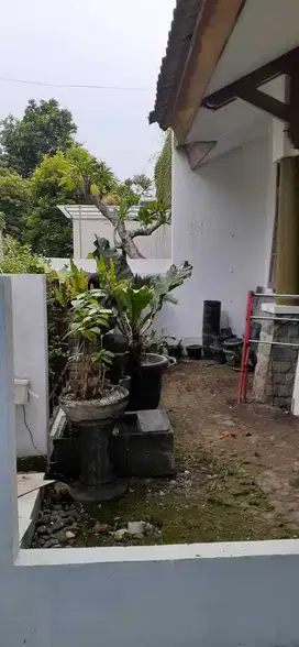 Di Jual Cepat Rumah Kasuari Bintaro Jaya Sektor 9