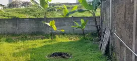 Di jual cepat tanah adiyaksa cocok buat kosan dekat stt telekom