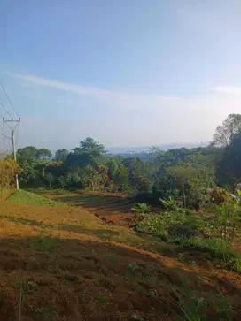 Tanah di Pancawati, Kab. Bogor