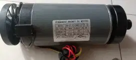 Dinamo Treadmill (NeGo)