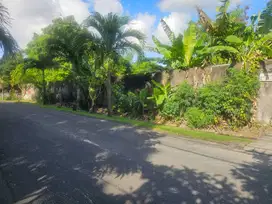 Tanah Kayu Tulang Utara Canggu Bali