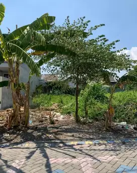 Dijual Kavlingan Medayu Utara Surabaya Timur