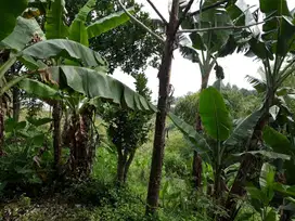 TANAH KAVLING DOWNSLOPE BUNI WANGI DAGO