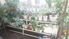 Jual Rak Bunga Ukuran Besar