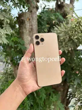 iPhone 11 Pro 64 GB Inter