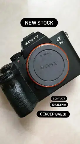 Sony A73 body only