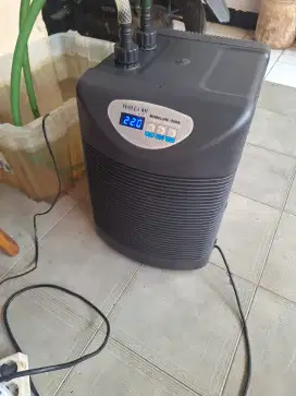 Chiller hailea hc 500 A (1/2 pk)
