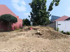 Gratis Barangkal Tanah