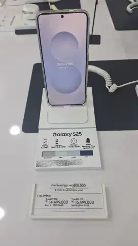 Samsung galaxy s25