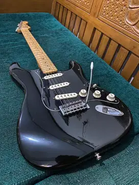 Gitar Fender Stratocaster Standard Mexico