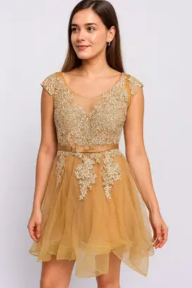 Dress/baju pesta