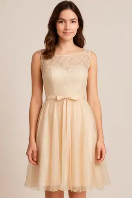 Dress/baju pesta
