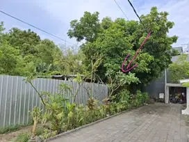 Tanah Sanur Mertasari Denpasar Bali