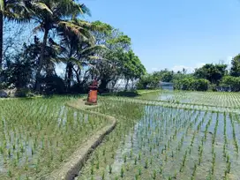 Di jual tanah los pantai di pantai pasut bagian timur