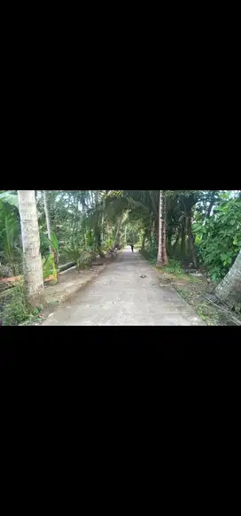 JUAL TANAH DI BOJONG PANJATAN KULONPROGO