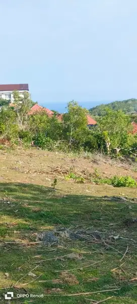 tanah ocean view dekat pantai green bowl ungasan Badung Bali