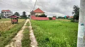Tanah Sewa View Pantai Bisa di Ambil Sesuai Permintaan di Ketewel