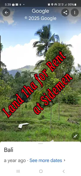 Land 1ha for Rent at Sidemen Traditional Village Bali