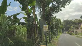 DIJUAL TANAH 3 HEKTARAN UNTUK GUDANG DI JEMBER
