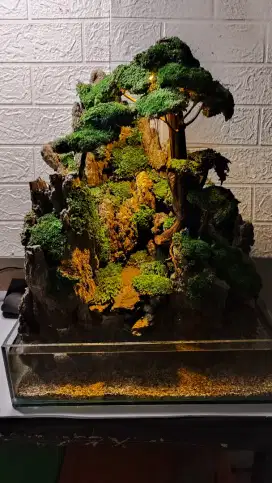 Aquascape Aquarium Akuarium BARU Siap kirim dan pakai Fullset