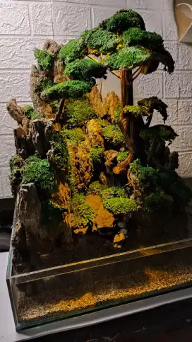 Paludarium Aquascape Aquarium Akuarium BARU Siap kirim dan fullset
