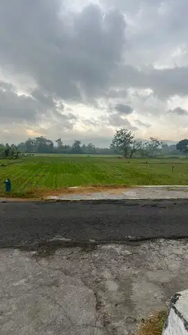 Dijual tanah SHM  cocok untuk investasi