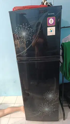 Kulkas sharp 2 bulan