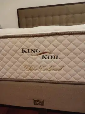 King koil chiro endrosed 200x200