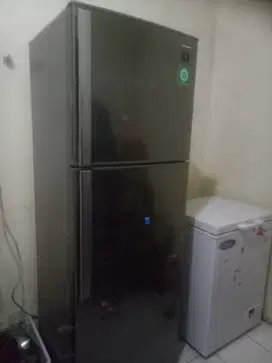 Kulkas sharp dua pintu