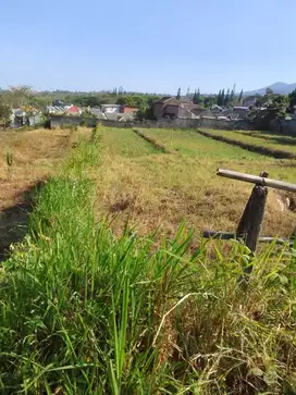 Trunojo atas  junrejo kota batu