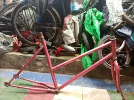 Frameset lady Winner UK 26