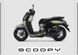 scoopy sporty th 2023