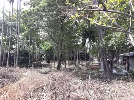 Dijual Tanah Di Duren Sawit Jakarta Timur Dengan Lokasi Strategis