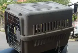 Phetcargo Kucing