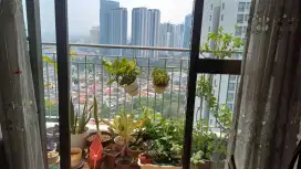 Dijual Apartmen Semi Furnished  Rasuna Said Jakarta