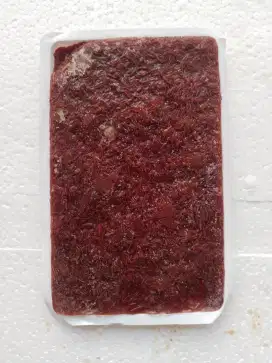 cacing beku tray super 100gram