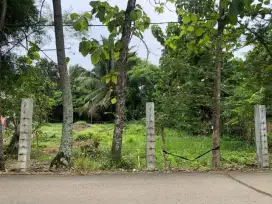 DIJUAL TANAH TANPA PERANTARA LUAS 431