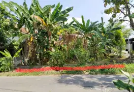 Tanah Pekarangan Dalam Ringroad Banguntapan Bantul TP 032