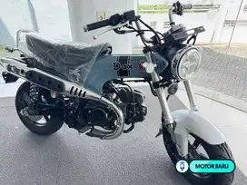 MOTOR BARU ST 125 DAX 2022