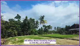 Tanah Sleman Gamping Cocok Villa Siap Ajb SHM Pekarangan