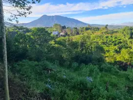 TANAH CISARUA PUNCAK