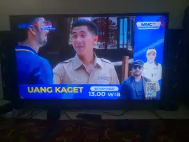 Tv Polytron 40