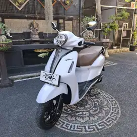 Filano Lux th 2023